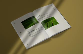 上海畫(huà)冊(cè)印刷廠(chǎng)家_企業(yè)宣傳冊(cè) / 產(chǎn)品目錄 / 年報(bào)定制_免費(fèi)設(shè)計(jì)打樣
